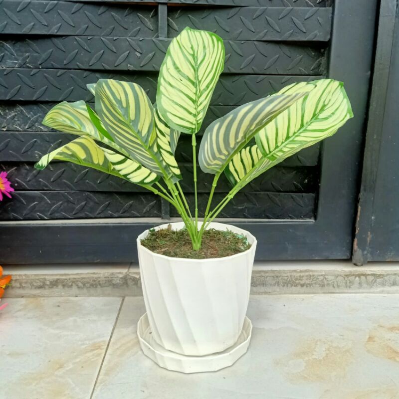 Set daun hias monstera bunga anthurium tanaman hia pot sudut bunga artifisial dekorasi rumah