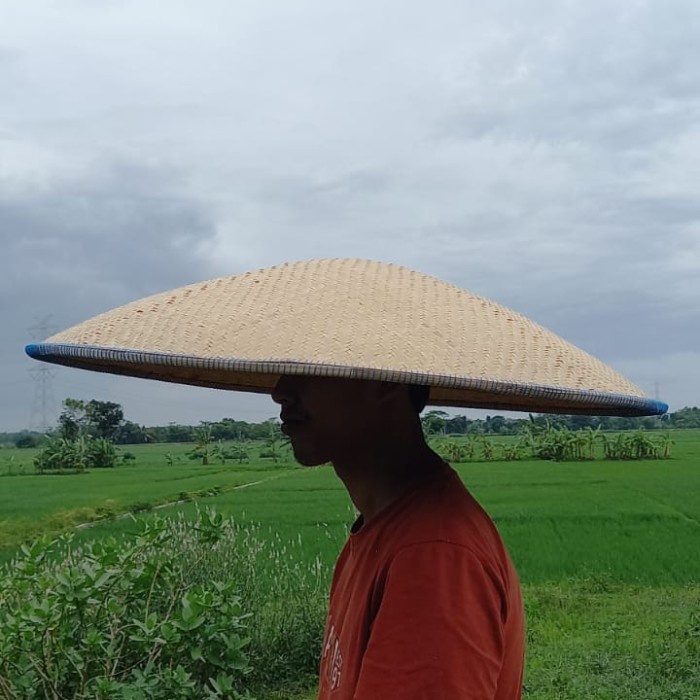 Terlaris Caping Vietnam Topi Petani Tudung Lukis Diameter 60Cm - 65Cm