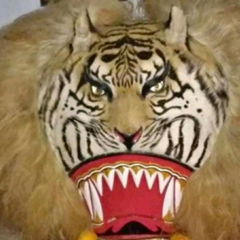 barongan reog ponorogo asli buatan ponorogo