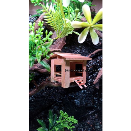 hiasan miniatur rumah aquascape