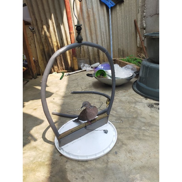 sangkar penjinak burung