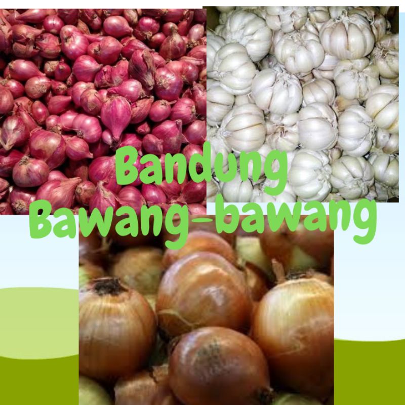 

bandung bawang bawang