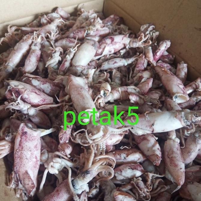 

Promo cumi asin cendol10kg