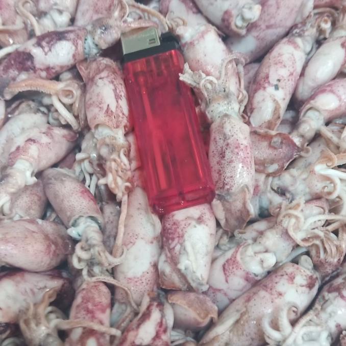 

Promo Cumi asin 1kg /cumi asin rebus/cumi asin size tanggung