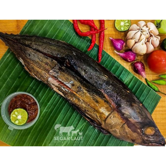 

Promo Cakalang Asap | Cakalang Fufu | Khas Manado