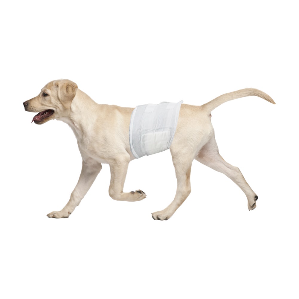 Pawise Ukuran M Set 12 Pcs Popok Anjing Jantan