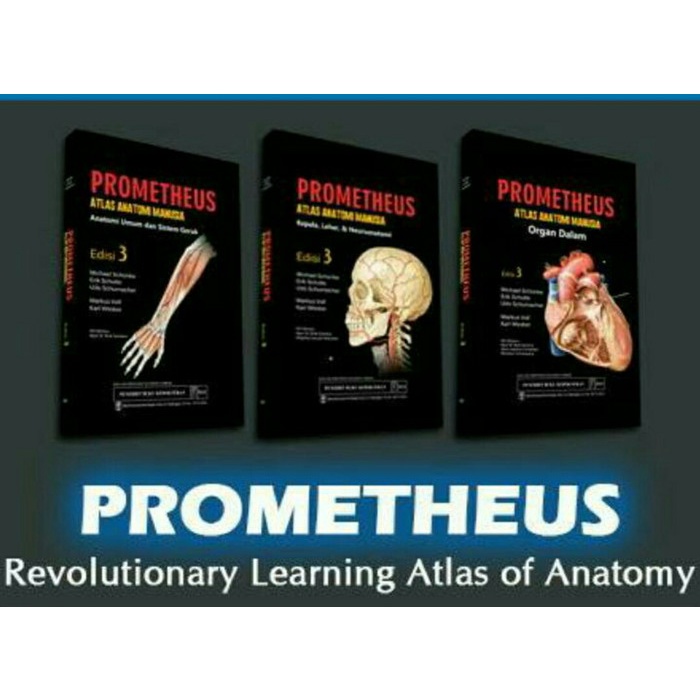 Must Have Buku Prometheus Atlas Anatomi Manusia Terbaru