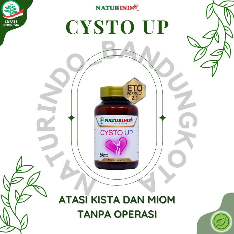 Jamu Kista Miom CYSTO UP NATURINDO Isi 50 Kapsul