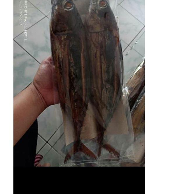 

Sale | KF7 | RECOMENDED.. IKAN ASAP TONGKOL (CAKALANG)