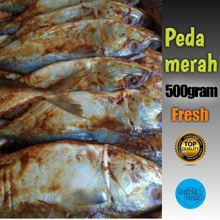 

Promo | KF7 | IKAN ASIN PEDA MERAH 500GRAM//IKAN PEDA MERAH//IKAN ASIN MURAH//IKAN KERING//IKAN PEDA KLOTOK//IKAN TERI KERING//TERI JENGKI//IKAN TERI MEDAN SUPER//IKAN TERI NASI//IKAN ASIN GABUS//BABY CUMI ASIN KERING//BEBI CUMI ASIN KERING//IKAN ASIN TER