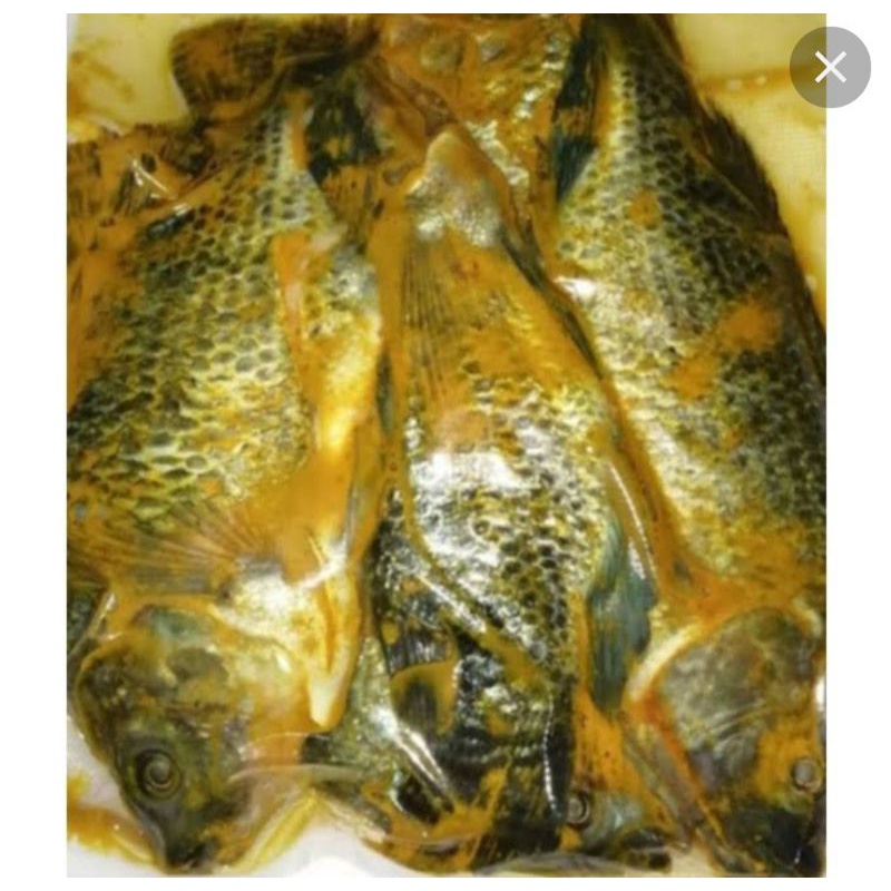 

ikan lele siap goreng/nila/mujaer/mas/gurame/patin 500gr Bonus sambel terasi