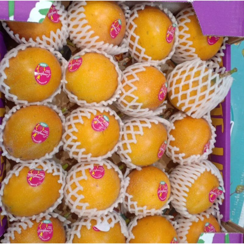 

Markisa Equador Per 1 Dus Fresh Import