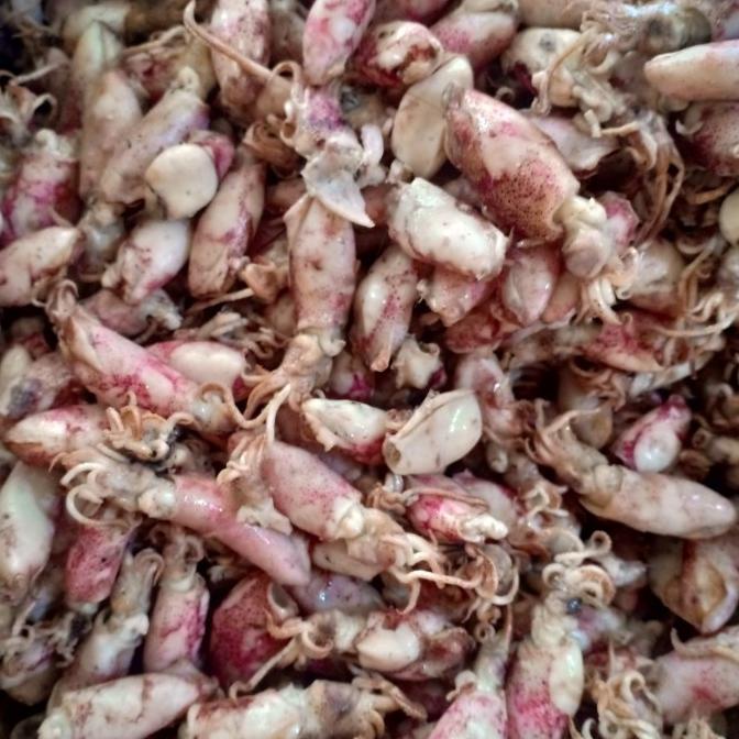 

ikan asin Baby cumi BK per 500gram