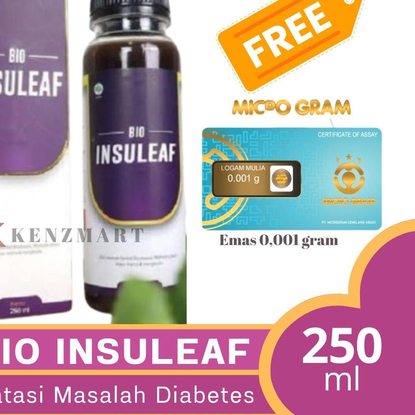

Diskon | HJ6 | BIO INSULEAF - ORIGINAL 100% HERBAL ALAMI UNTUK ATASI DIABETES TURUNKAN DAN STABILKAN GULA DARAH KENCING MANIS GLUKOSA