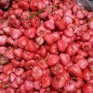 

Jambu Air Rujak Segar 1 Kg