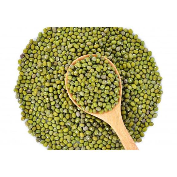 

Kacang Hijau Import Australia Large Green Mung Beans 500g