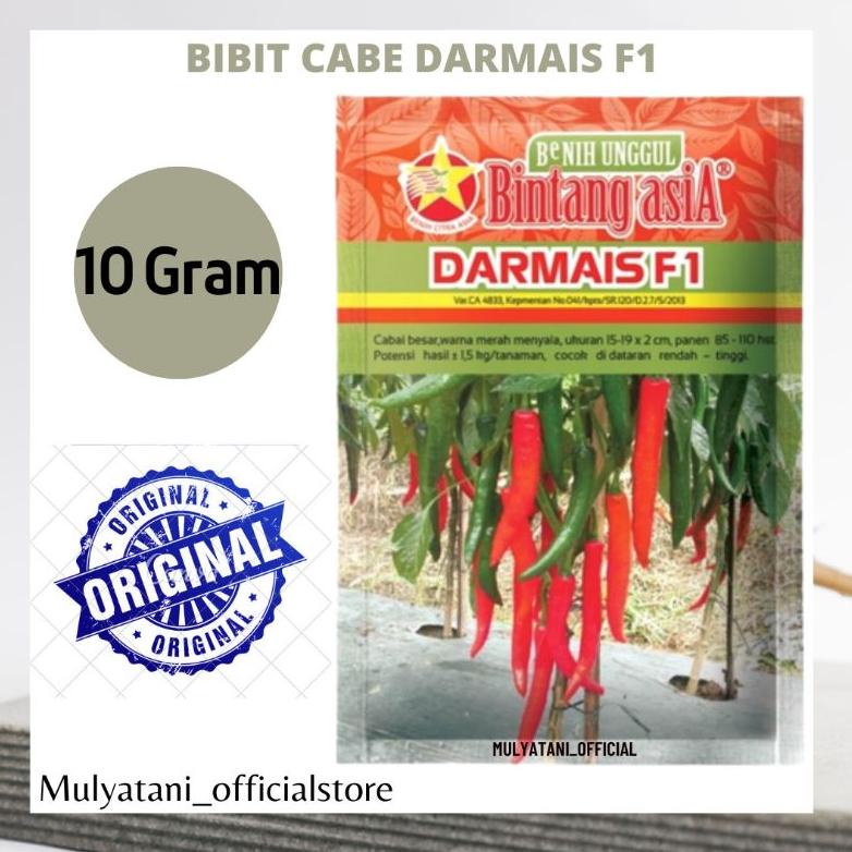 Terlaris Beli 2 Gratis Mini Gold Bibit Benih Cabai Cabe Besar Darmais Original Cap Bintang Asia isi 