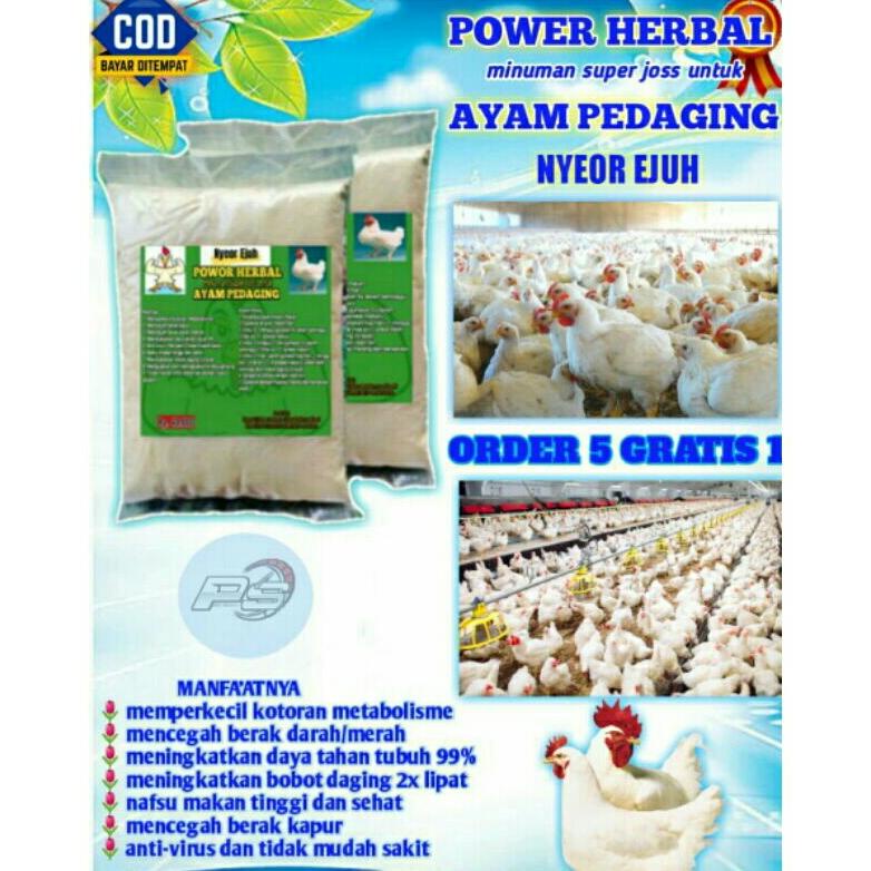 

(BISA COD) vitamin herbal nyeor ejuh untuk ayam broiler ,,