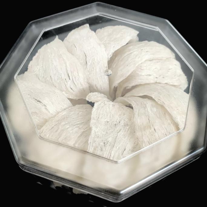 

:=:=:=:=] Sarang Burung Walet Sudut Super - Gho Bird Nest