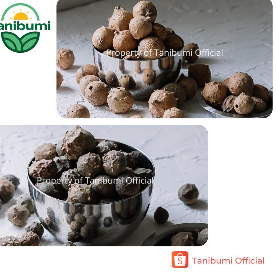 

12.12 FLASH SALE Termurah Buah Manjakani | 1kg | Hijau & Putih | Biji Majakani Premium Grade A !!