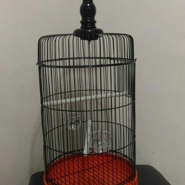 Terlaris Sangkar Pleci Sangkar Burung Kecil Sangkar Bulat Sangkar Besi