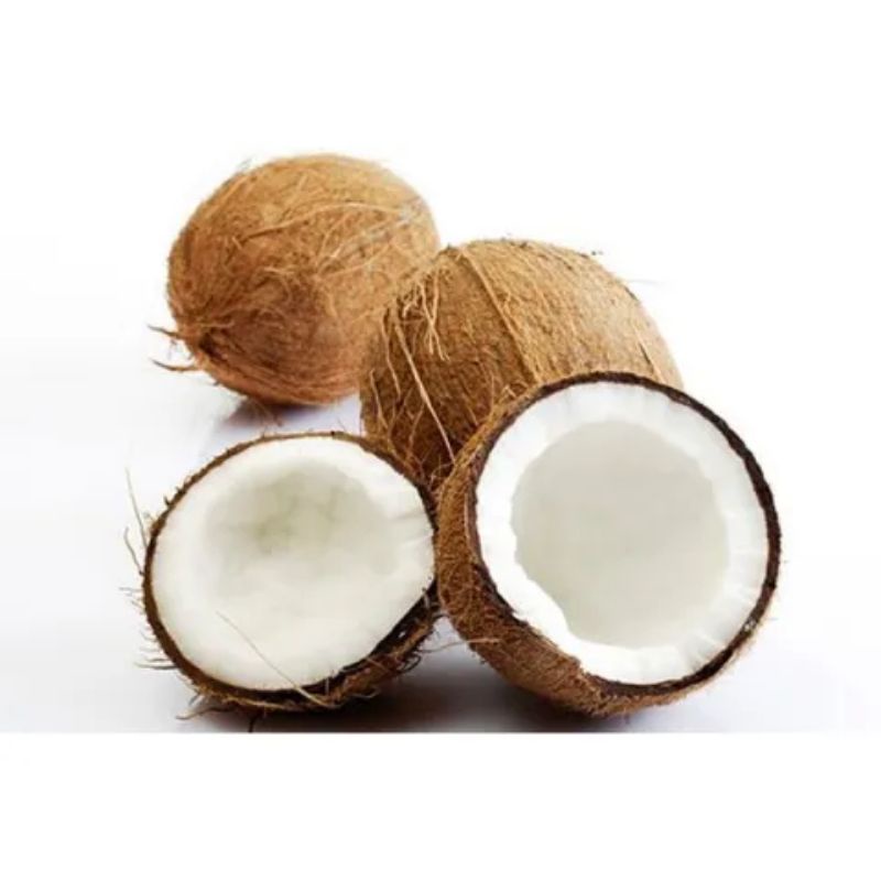 

Kelapa tua