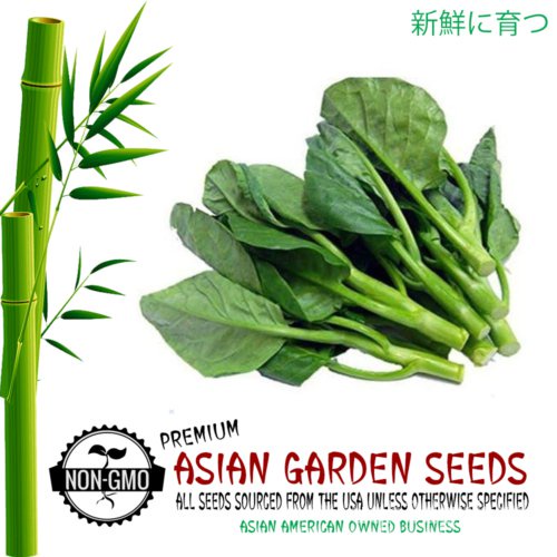 

AsiaมSeeds์Taman ัLaan-BahasaดBrokoliเ| Biji Tidak TransgenikธKale น็พKaiลุ 4MYV