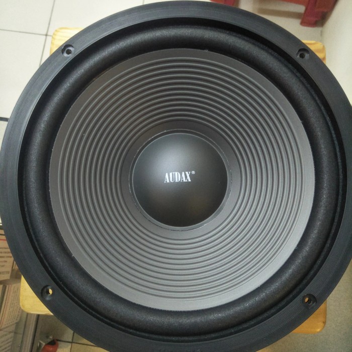 speaker woofer audax 10 inch AX-10040 WPB