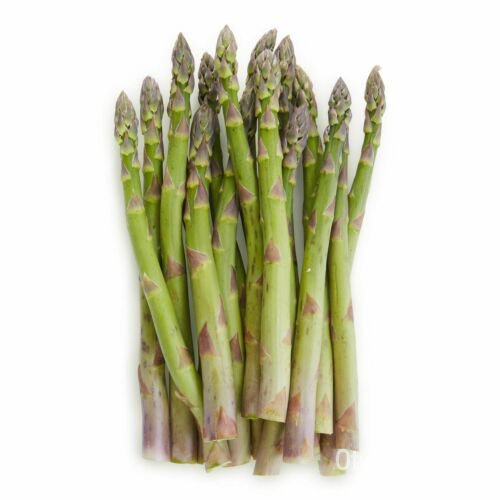 

Washington|ุ์MaryAsparagusพTaman็ดน Benih Sayuran Tanpa TransgenikธัลเPusaka Benih |ม I5ZB