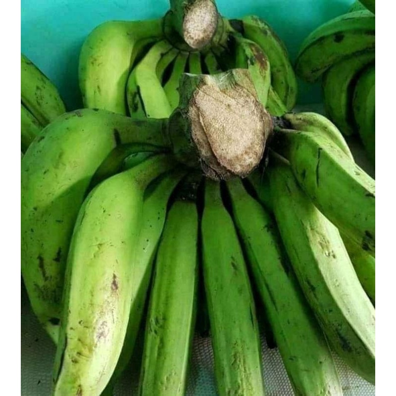 

[PALEMBANG] PISANG NANGKA 1 SISIR - SAYUR BUAH IKAN SEGAR ONLINE PRETTY OLSHOP PALEMBANG