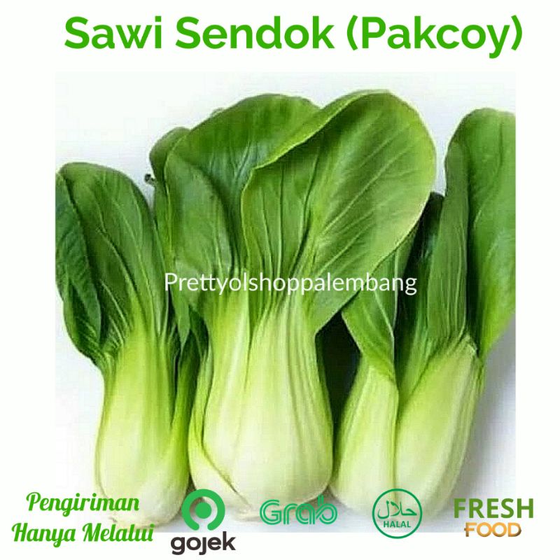 

[PALEMBANG] PAKCOY BOKCOY SAWI SENDOK 250 GRAM - SAYUR BUAH IKAN SEGAR ONLINE PRETTY OLSHOP PALEMBANG