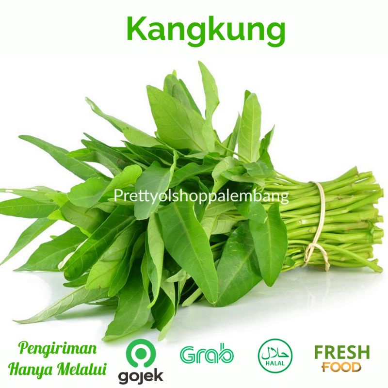 

[PALEMBANG] KANGKUNG 1 IKAT - SAYUR BUAH IKAN SEGAR ONLINE PRETTY OLSHOP PALEMBANG