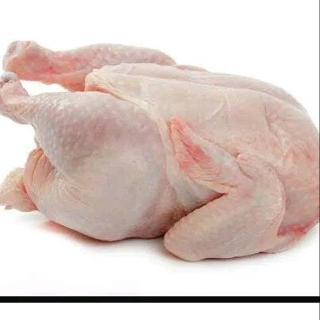 

[PALEMBANG] AYAM FRESH UK. 1.2 - 1.3 KG BERSIH TANPA KEPALA, CEKER, DAN JEROAN - SAYUR BUAH IKAN SEGAR ONLINE PRETTY OLSHOP PALEMBANG