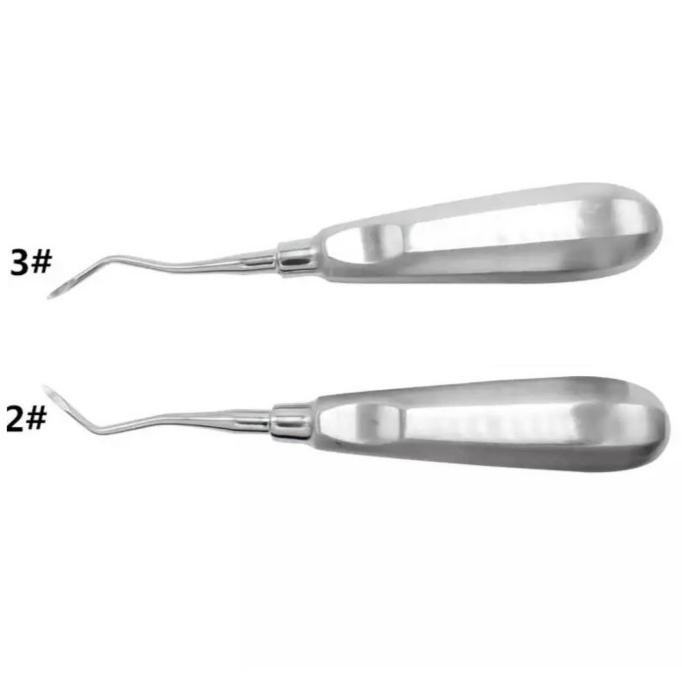 Root evelator bein bengkok curve side alat ungkit gigi alat cabut gigi