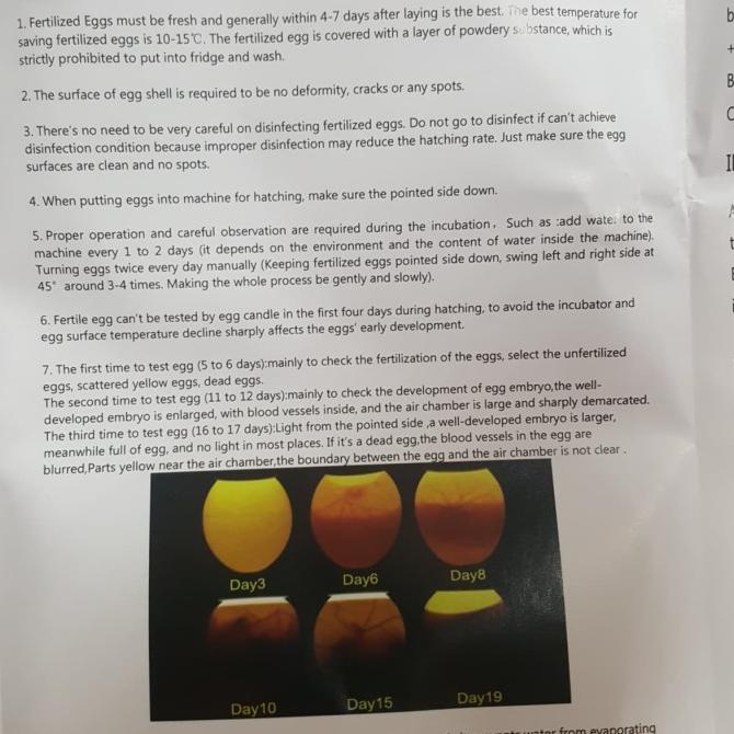 Penetas Telur Mini - Egg Incubator