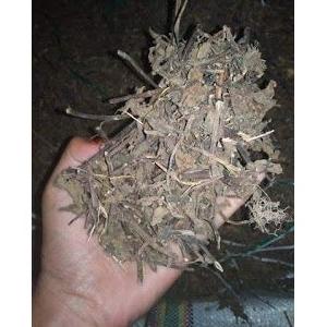 

DAUN CINCAU HITAM KERING / LENGKONG PREMIUM / LENG KONG 1 KG Best Seller