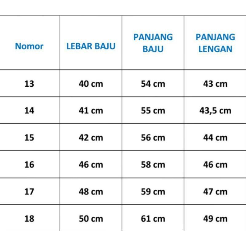 Baju koko anak remaja//koko lengan panjang