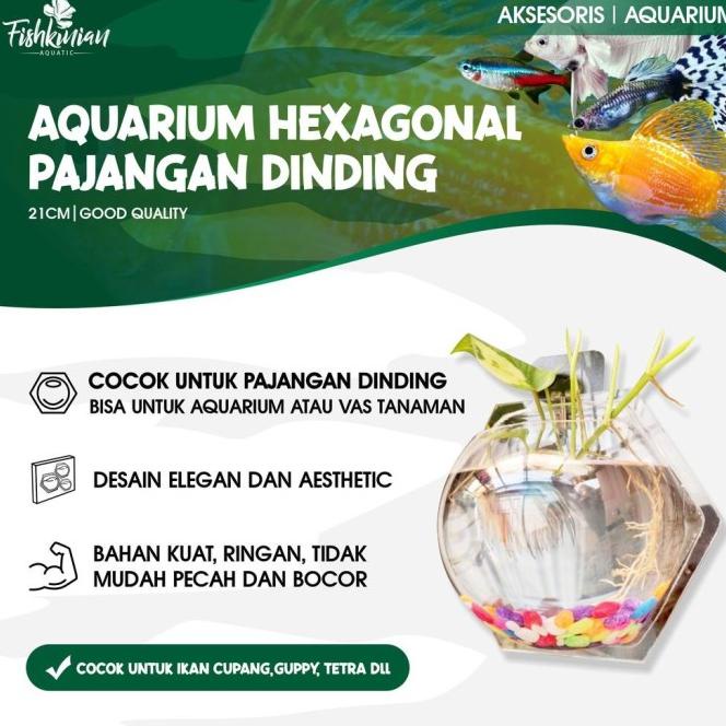 Aquarium Akrilik Dinding Hexagonal 21Cm