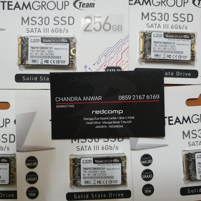 Team Ssd M2 Sata 2242 256Gb Ms30 Original