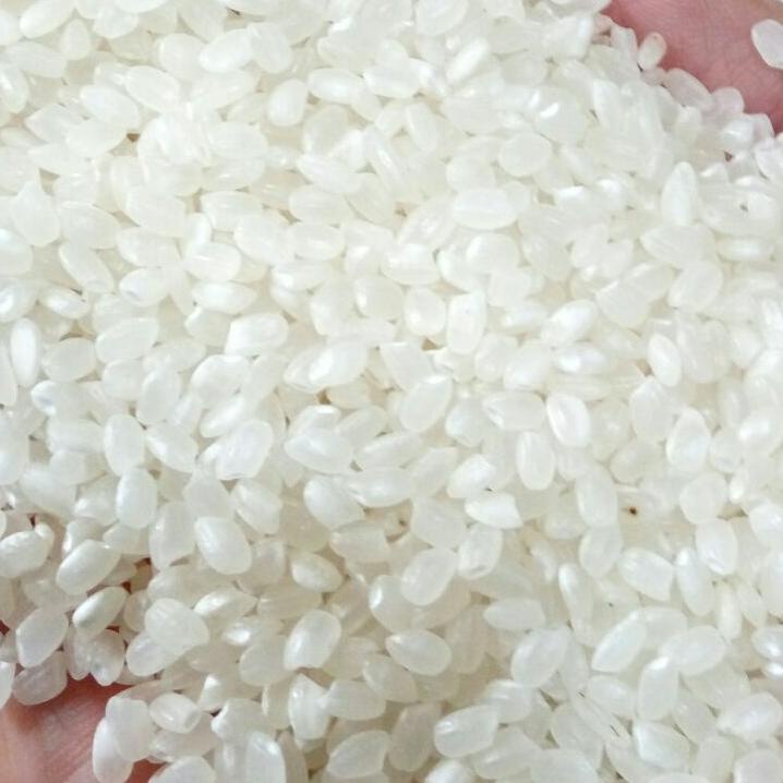 

BERAS JEPANG KOKOKU Oishi Sushi REPA 10kg/Japonica Kokoku/Nasi Sushi/Nasi Mentai/Nasi Bento/Onigiri
