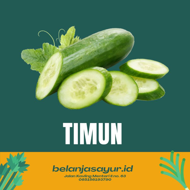 

TIMUN