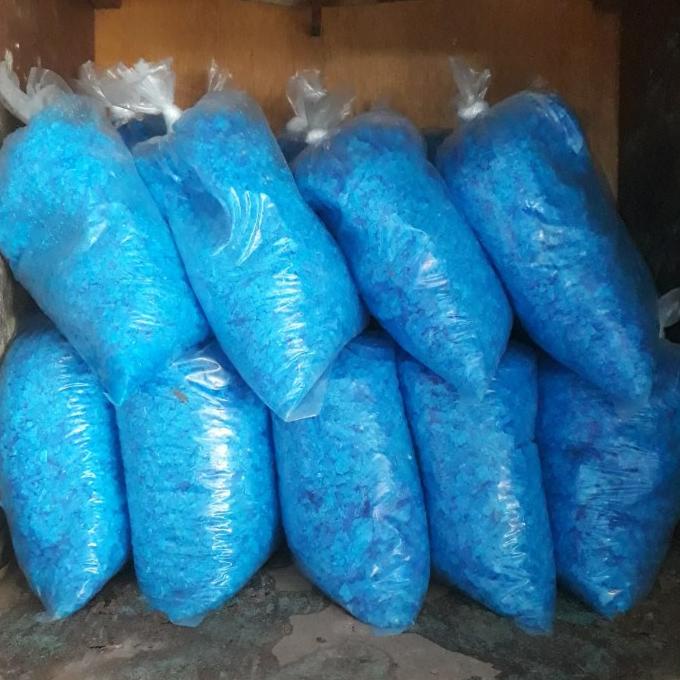 Terusi Pembiru Anti Lumut Kolam Renang