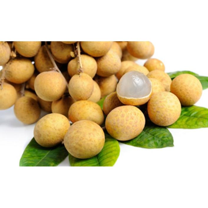 

BUAH KELENGKENG MANIS Best Seller