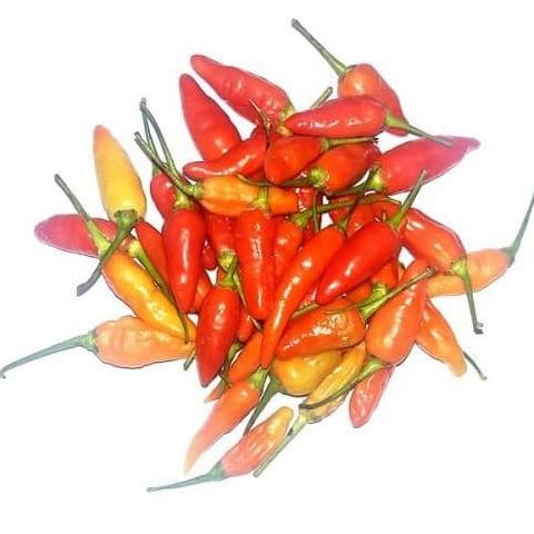 

CABAI RAWIT MERAH - 250gr buo