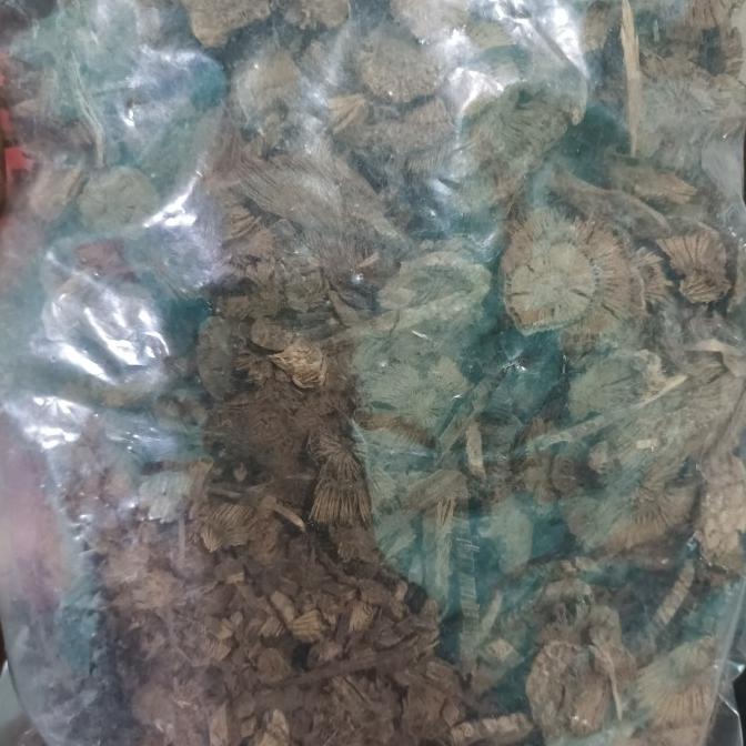 

Produk Unggulan] 100 G GR GRAM HU JIAO GEN AKAR MERICA LADA