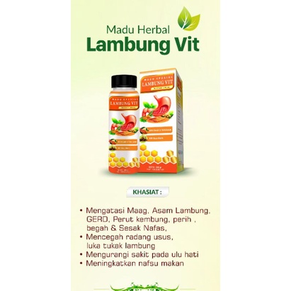 Madu Bravina lambung vit