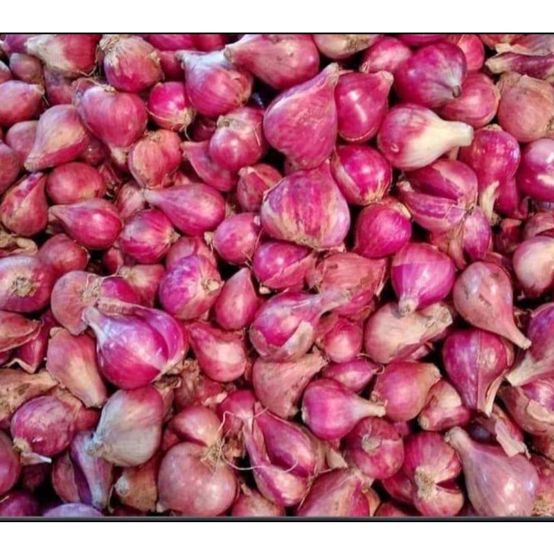 

bawang merah brebes 250gram