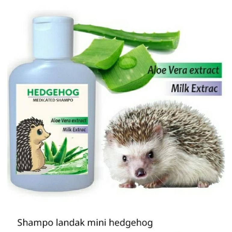 Promo Shampo Landak Mini Hedgehog