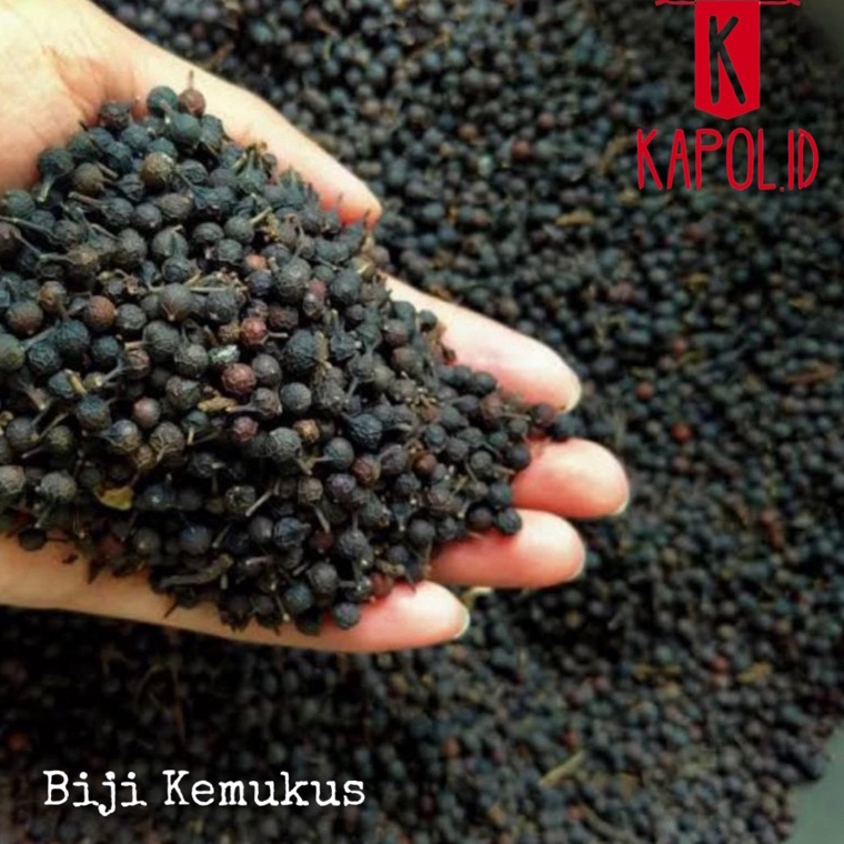 

Terupdate kemukus/rinu kering 1kg WYS