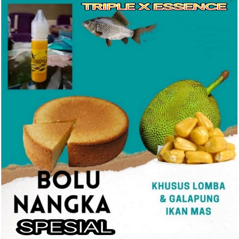 Essen oplosan / Essen BOLU NANGKA SPESIAL / Essen ikan mas